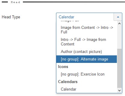 Custom fields for head types