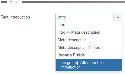 Custom fields for text introduction