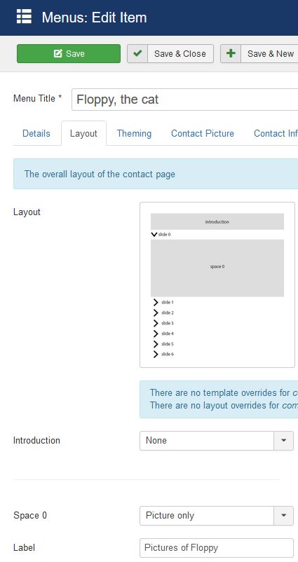 The layout parameters